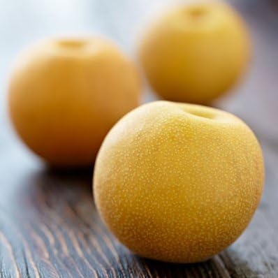 Brighter Blooms - Shinseiki Asian Pear, 5-6 Feet - Live Fruit Plant - No Shipping to AK, AZ, CA, HI, ID, LA, WA