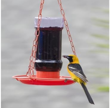 Perky Pet Jelly Feeder Oriole 32 Oz