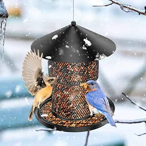 Bird Feeder for Outdoor Hanging