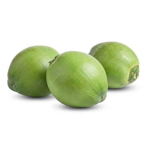 Fresh Green Young Water Coconuts Organic Non-GMO – Set of 3 – Whole Fresh Coconut with Coconut Water and Soft Jelly Meat – Ready to Drink