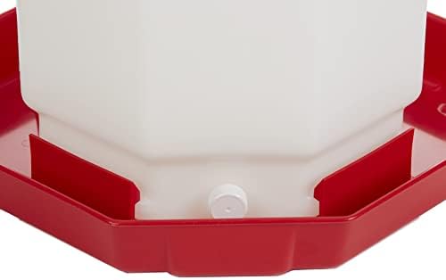Little Giant® Plastic Poultry Waterer | Heavy Duty Plastic Gravity Fed Water Container | Easy to Fill | Snap on Jar | 7 Gallons