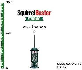 Squirrel Buster Standard Squirrel-proof Bird Feeder w/4 Metal Perches, 1.3-pound Seed Capacity, garden green | Four metal perches