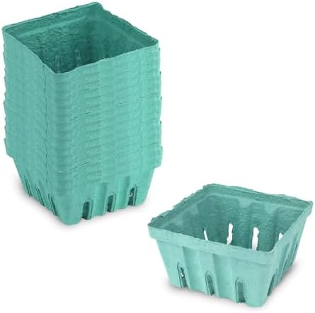 MT Products Green Berry Basket 1 Quart - Molded Pulp Fiber Vented Produce Basket (Pack of 15) - Made in the USA