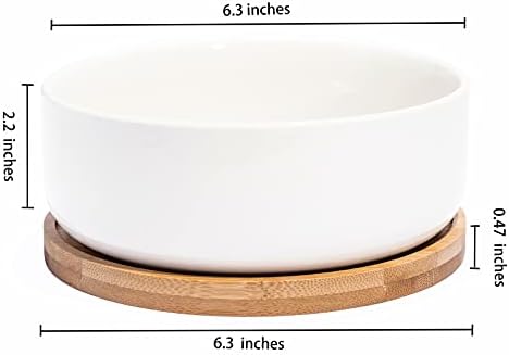 LANKER 6.3 Inch Round White Ceramic Succulent Planter Pot with Bamboo Tray