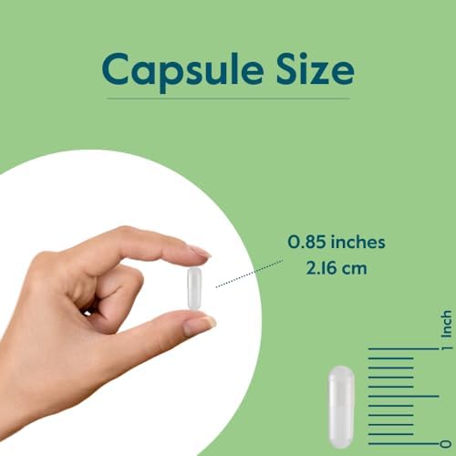 BESTVITE Filler-Free Niacinamide 500mg (240 Veg Caps) - Flush Free VIT B-3 | No Stearates - Vegan - Non GMO - Gluten Free - Non-Flushing Vitamin B3