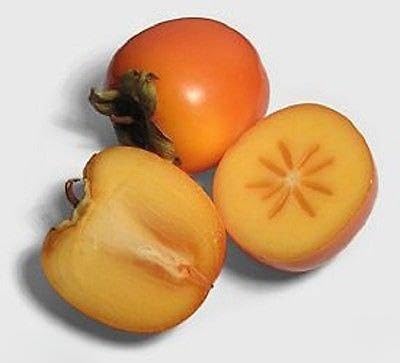 Caucasian Persimmon ,Date Plum lotus, Tree Seeds,Edible, Showy, Color,Diospyros