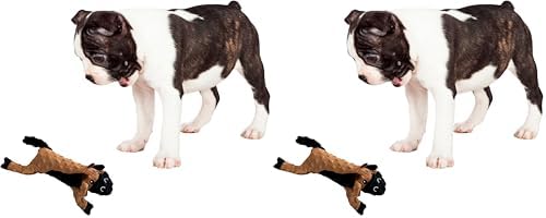 SPOT Skinneeez Extreme Stuffers Frog - Stuffing Free Dog Toy With Squeaker & Rip Stop Mesh Lining for Durability - Insert Plastic Bottle for Extra Crunch, For Small to Medium Puppies & Dogs - 14in