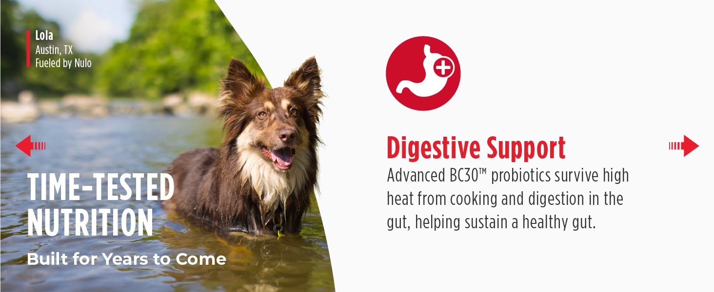 Image of dog with text reading digestive support.