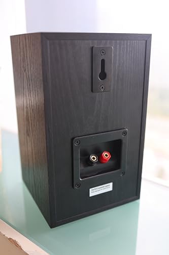 Audio Express Koe’ B102 – 100 Watt Home Theater, Passive Bookshelf Speakers (Pair) Hi-Res Audio, Excellent Response, HiFi, Satellites
