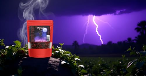 Wicked Reaper Carolina Reaper Chili Peppers, Whole Dried, 10 + 2 Free
