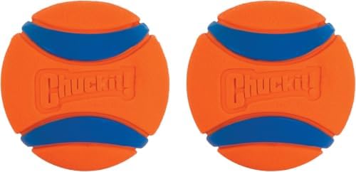 Chuckit! Ultra Ball Dog Toy, Balls for Dogs to Fetch, Durable Rubber, Small 2-inch, Pack of 2