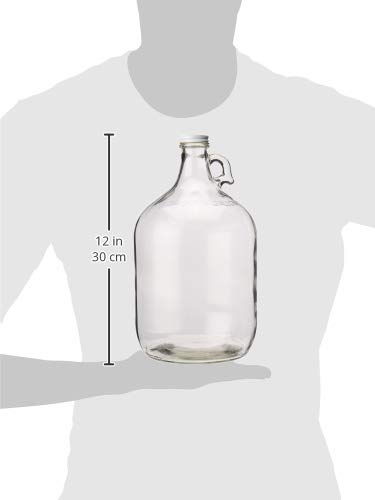 Home Brew Ohio 1 Gallon Glass Water Bottle Includes 38 mm Metal Screw Cap