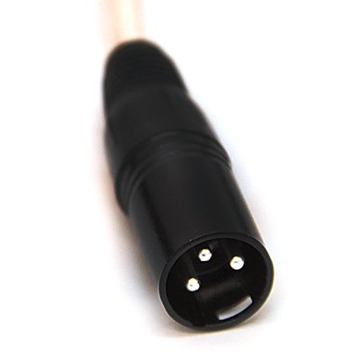 Seismic Audio - SAXQ-16x8x25 - 16 Channel 25' XLR Snake Cable with XLR and 1/4" Returns on the Box