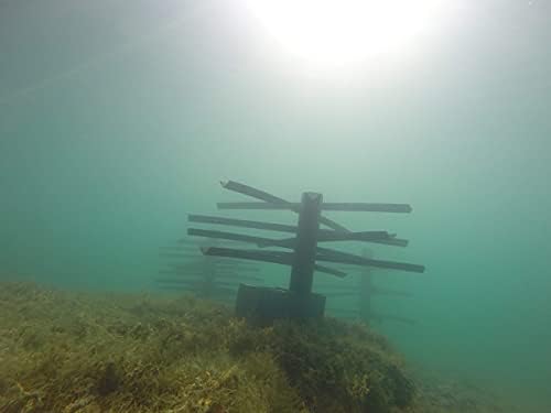 Root WAD, Artificial Fish Habitats for Lakes and Ponds