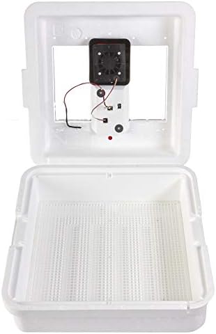 Little Giant White Miller Manufacturing Company 9300 Digital Still Air Incubator