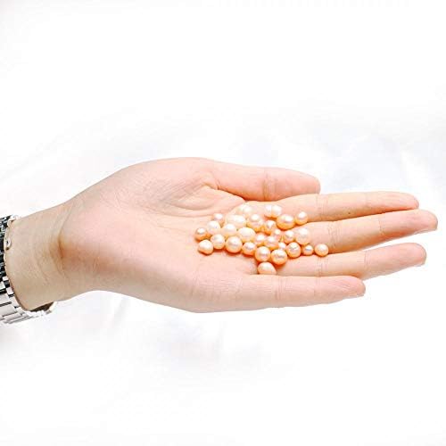 Oyster Pearls, Freshwater Cultured Big Oysters with Pearls Inside | Freshwater Cultured Oysters, Big Pearls Inside, Ideal For Home Decoration