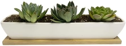 SeaStar White Rectangular Long Succulent Planter Pot, 11x2.16x1.75inch Modern Minimalist Ceramic Succulent Planter Pot with Saucer for Office, Desk