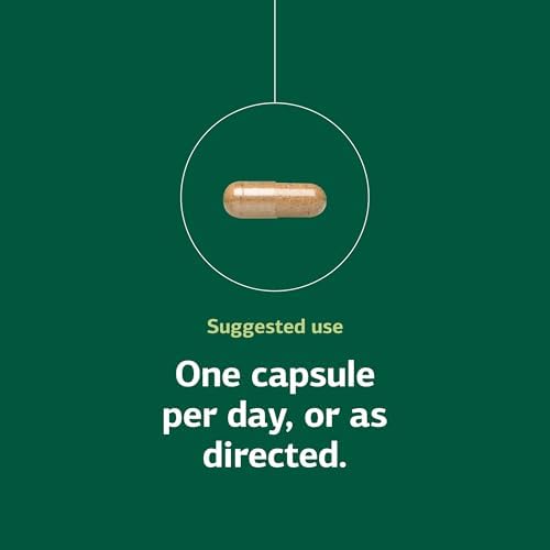 Standard Process Niacinamide B6 - Supports Energy Metabolism & Nervous System Health - Aids Blood Flow & Digestive Health with Niacin & Vitamin B6