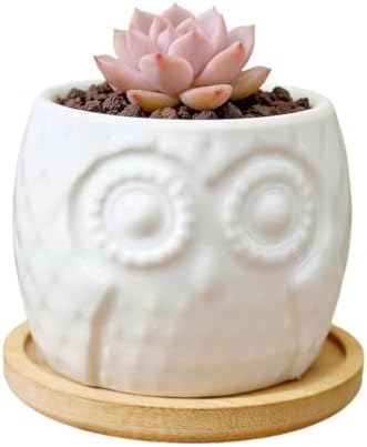 Cuteforyou Succulent Pots,Cute Animal Shaped Cartoon Ceramic Succulent Cactus Flower Planters -Plant Not Included，Cat