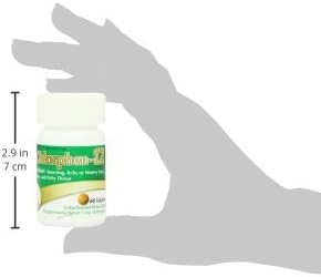 Chlorpheniramine Maleate Extended Release, 12 Mg , 60 Tablets