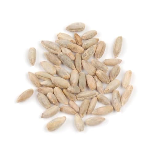 Rye Berries, 10 lb – Whole Rye Grain for Milling & Bread Baking, Chewy High Fiber Bulk by Woodland Gourmet