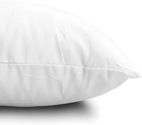 EDOW Throw Pillow Inserts, Set of 2 Lightweight Down Alternative Polyester Pillow, Couch Cushion, Sham Stuffer, Machine Washable. (White, 18x18)