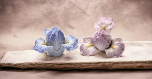 Fine Porcelain Iris Flower Salt and Pepper Shakers Set 2.25" H