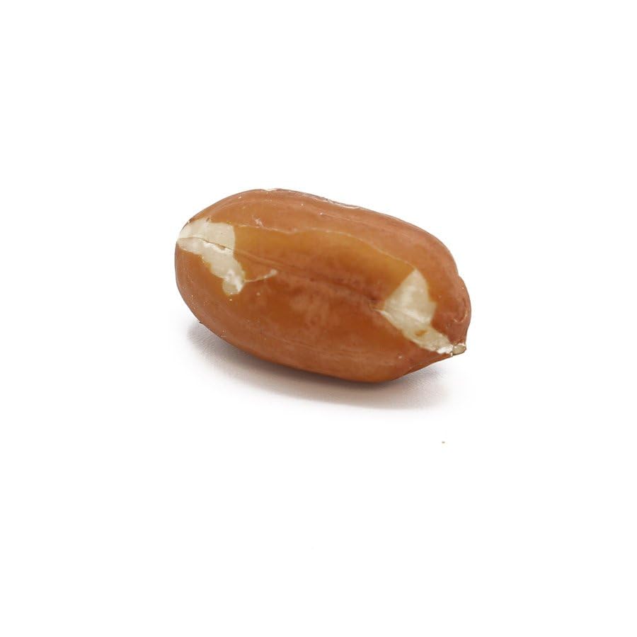 Raw Red-Skin Peanuts, Shelled, Jumbo Runner, Bulk 30 Pound Box, Unsalted Peanuts Great For Trail Mix and Cooking