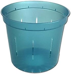 Orchid Pot - 6 inch Slotted Clear Orchid Pots - 3 Pack (Crystal Clear)