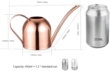 IMEEA Indoor Watering Can for House Plants 33oz/1L Brushed Stainless Steel Watering Can with Long Spout for Succulents, Bonsai