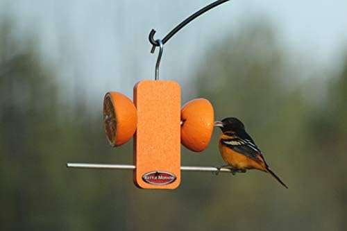 Recycled Single Oriole Orange Fruit Stick Feeder