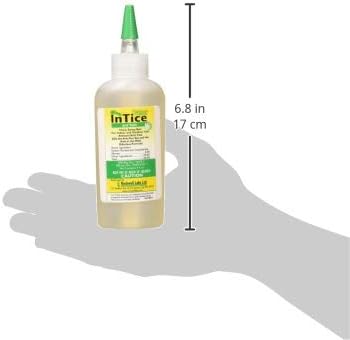 Rockwell Labs ITAB004 InTice Thiquid Ant Bait, 4 Ounce