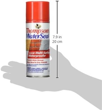 Thompson’s WaterSeal Multi-Surface Waterproofer Stain, Clear, 1 Gallon