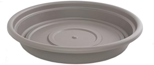 Bloem SDC8-46 Dura Cotta Plant Saucer, Terra Cotta, 8"