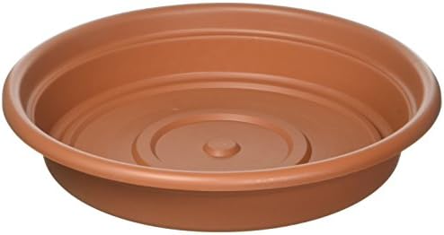 Bloem SDC8-46 Dura Cotta Plant Saucer, Terra Cotta, 8"