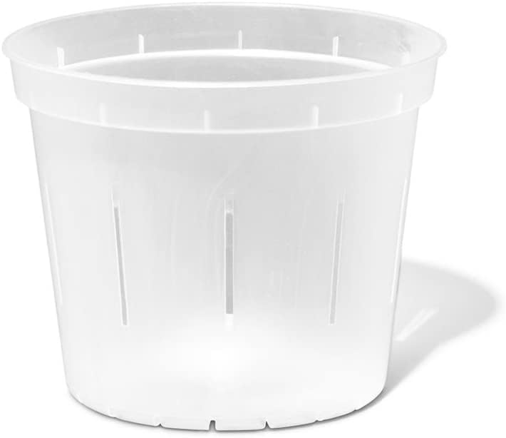 Orchid Pot - 6 inch Slotted Clear Orchid Pots - 3 Pack (Crystal Clear)