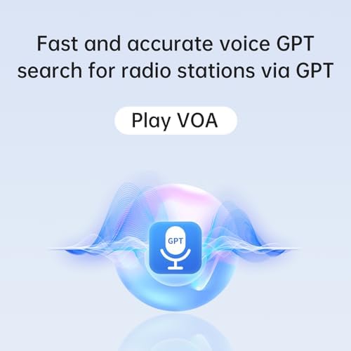 Choyong Voyager Bluetooth Speaker Wireless Internet Radio with WIFI/4G, World Radio Station, BT5.3