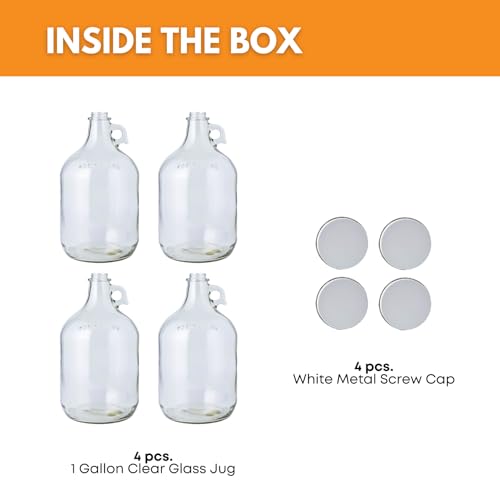 Home Brew Ohio 1 Gallon Glass Water Bottle Includes 38 mm Metal Screw Cap
