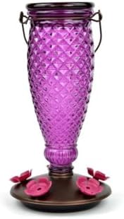Perky-Pet Diamond Wine Top Fill Glass Hummingbird Feeder, 24 oz Capacity | Built-in Bee Guards for Outdoors, Purple Hanging Wild Bird Feeder