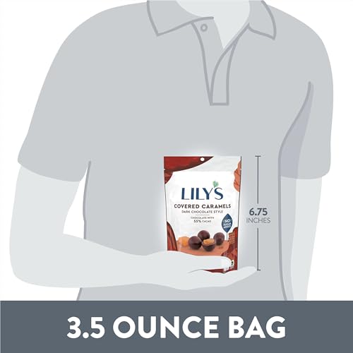 Milk Chocolate Style Caramels By Lily's Sweets | Stevia Sweetened, No Added Sugar, Low-Carb, Keto Friendly | Fair Trade