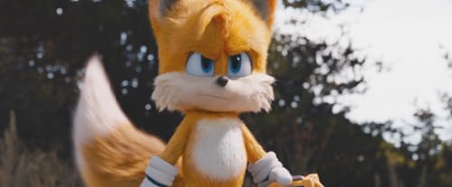 Sonic the Hedgehog Limited Collector's Edition (Blu-ray + DVD + Digital + Exclusive Mini-Posters)