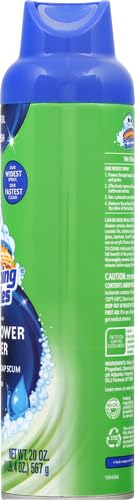 Scrubbing Bubbles Mega Shower Foamer Aerosol, Rainshower, 20 oz