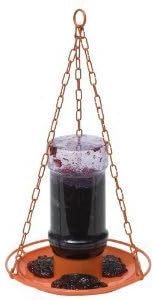 Wild Bird Feeder, Oriole Jelly Feeder