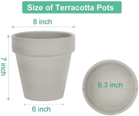 vensovo 8 Inch Clay Pot for Plant with Saucer - 2 Pack Large Terra Cotta Plant Pot with Drainage Hole, Clay Planters Pot