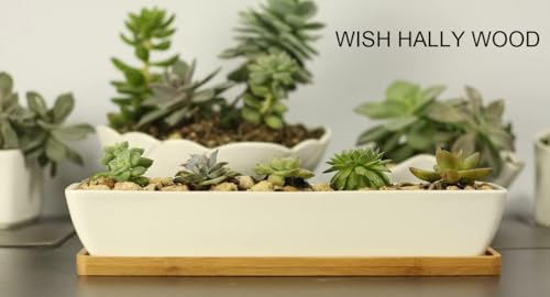 11inch Long Rectangle White Ceramic Succulent Planter Pots,with Bamboo Saucers. Product Size:11x2.23x1.69inch.