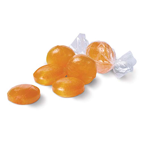 Russell Stover Hard Candies Butterscotch Buttons 12 Ounce Bag Russell Stover Butterscotch Buttons Hard Candy