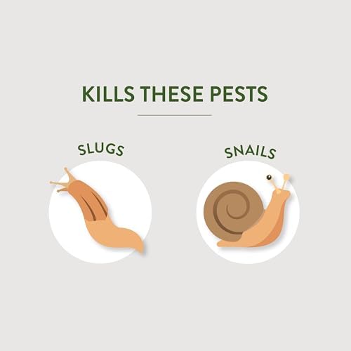 Garden Safe Slug & Snail Bait Granules, Kills Slugs & Snails, 2 Lb | Kills Slugs & Snails, For Lawns, Gardens & Greenhouses, Can Be Used Around Pets & Wildlife, Contains Iron Phosphate