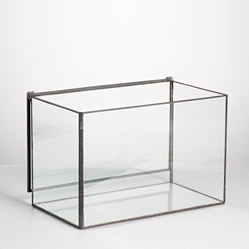 NCYP 6.7 x 4 x 4.8 Inch Small Glass Terrarium Planter with Lid, Clear Glass Box Container for Succulents, Air Plant, Moss, Ferns, Cactus