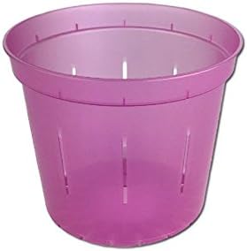 Orchid Pot - 6 inch Slotted Clear Orchid Pots - 3 Pack (Crystal Clear)