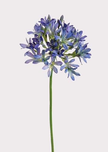Purple and Blue Artificial Agapanthus - 35" by Radial